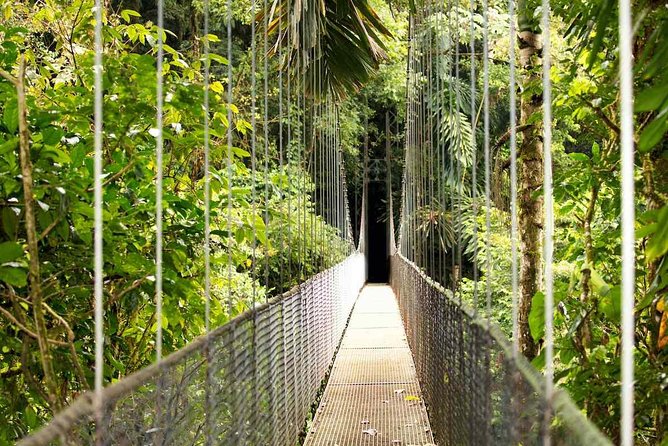 Mistico Arenal Hanging Bridges - Tour Highlights and Inclusions