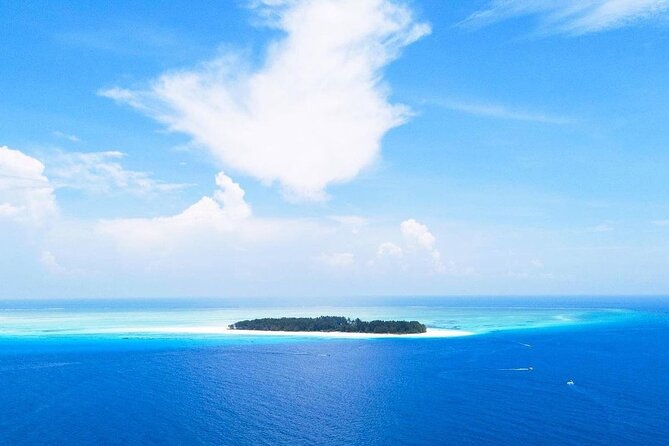 Mnemba Snorkeling, Kuza Cave, Blue Lagoon, Starfish Tour, The Rock Restaurant - Itinerary and Activities