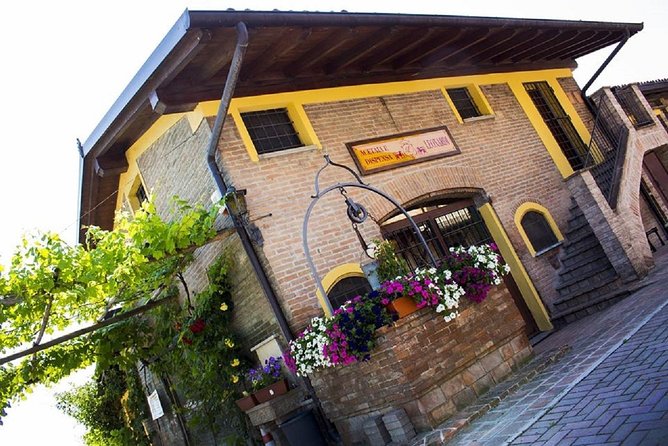 Modena Area: Balsamic Vinegar "Aceto" Tasting Experience - Curated Tasting of Balsamic Vinegar