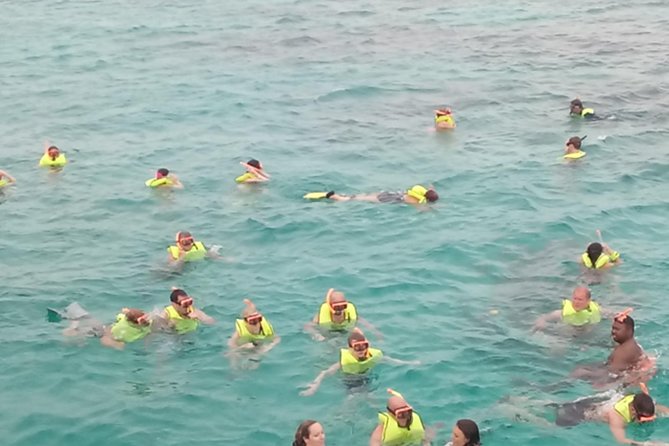 Montego Bay Shore Excursion: Private Snorkel Tour - Participation Requirements