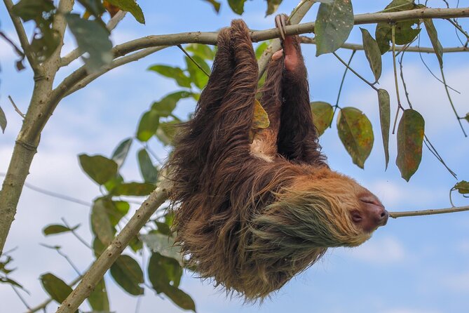 Monteverde Day Tour: Hanging Bridges + Extreme Zipline - Exploring the Hanging Bridges