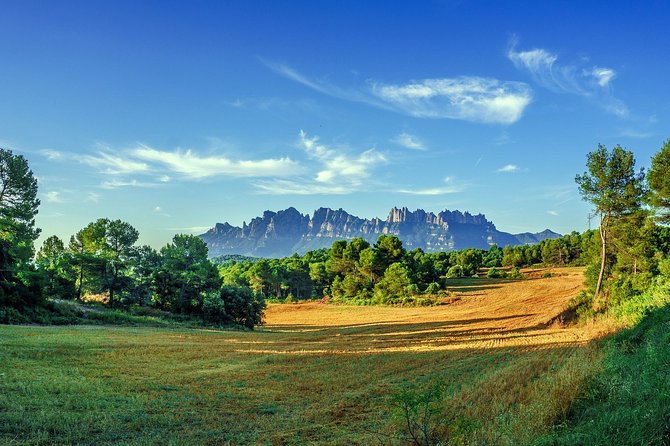 Montserrat & Hot-Air Balloon Ride With Monastery Visit With Hotel Pick-Up - Personalized Small Group Tour