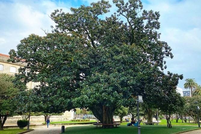 Monumental Morning Walking Tour in Pontevedra - Tour Itinerary and Duration