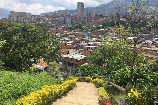 Moravia: the Unexpected Garden of Medellín - Taking in Moravias Cultural Tapestry