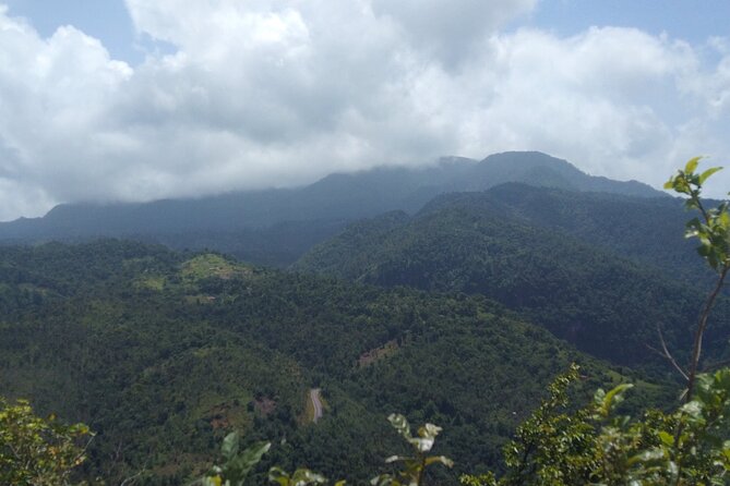 Morne Daiblotin Mountain Climb -Dominicas Tallest - Operating Schedule and Availability