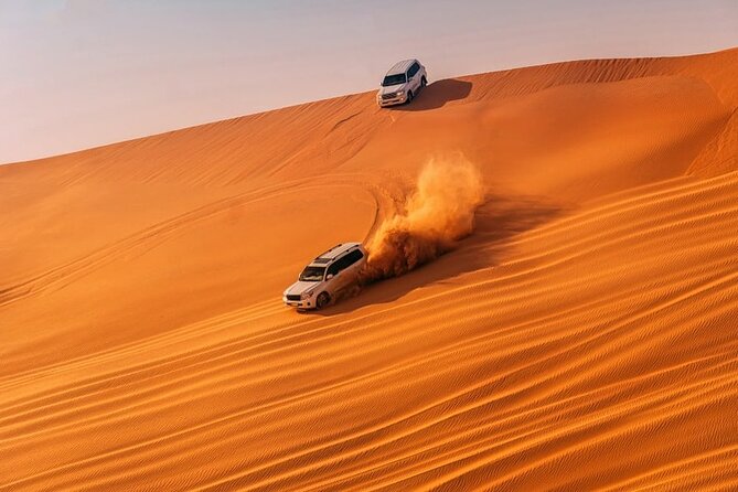 Morning Desert Safari Adventure in Abu Dhabi - Inclusions and Activities