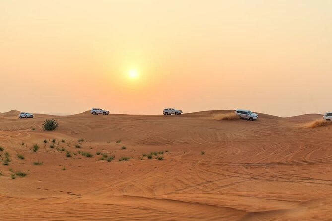 Morning Desert Safari Dubai Private Tour - Booking Information