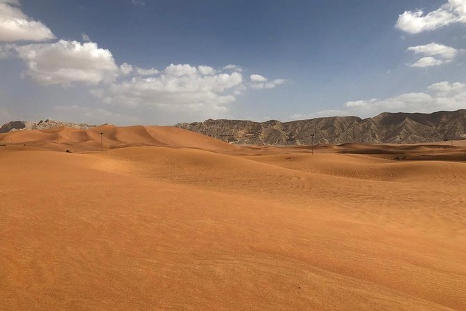 Morning Desert Safari With Camel Rides, Sand Boards and Dune Bashing - Sandboarding Adventure