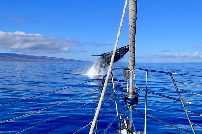 Morning Snorkel Sail From Lahaina Harbor - Preparing for the Adventure