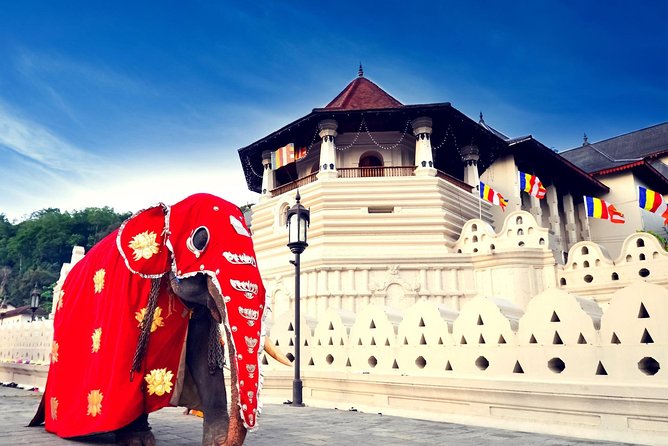 Most Popular Round Tour (5 Days) in Sri Lanka From Mirissa - Inclusions and Amenities