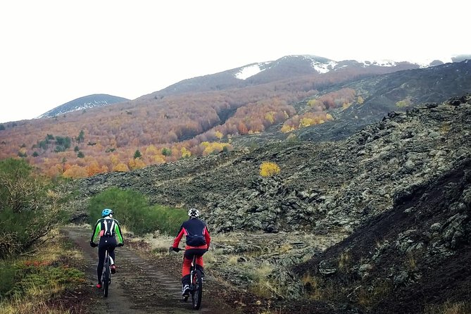 Mount Etna E-Bike Half-Day Tour - Customer Reviews and Feedback