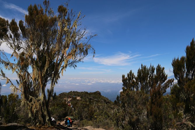 Mount Kilimanjaro Day Hike - Booking and Cancellation Policy