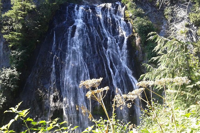 Mount Rainier Tour From Seattle - Booking Information