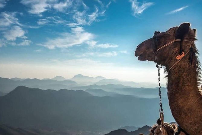 Mount Sinai Climb and Private St. Catherine Tour - Monastery of St. Catherine