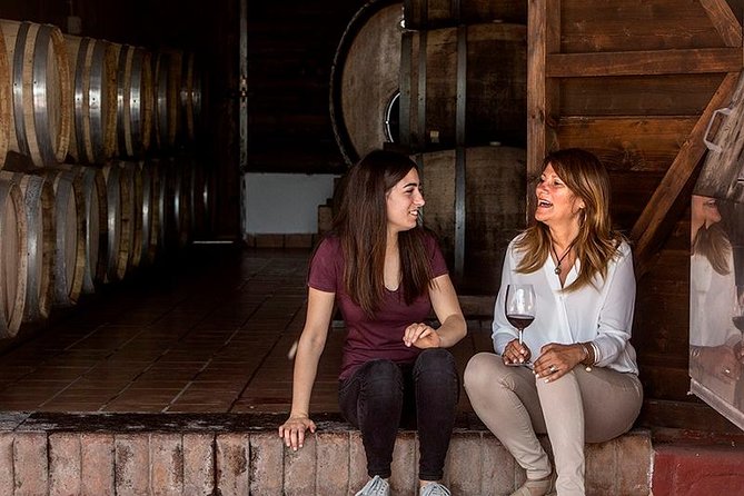 Mount Vesuvio Organic Wine Tasting & Lunch With Transfer From Amalfi Coast - Accessibility