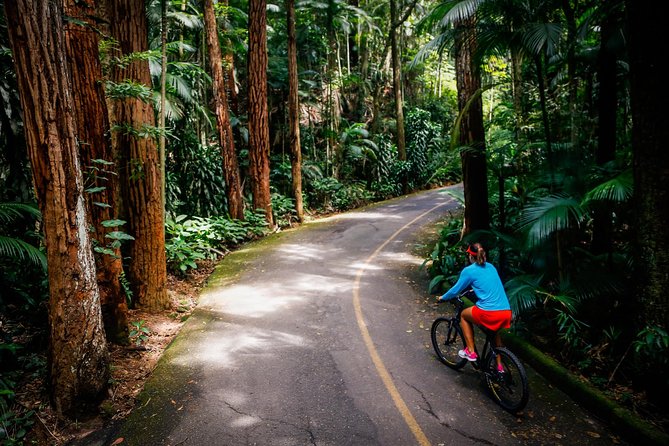 Mountain Bike Tijuca Rain Forest - Safety Precautions for the Tour