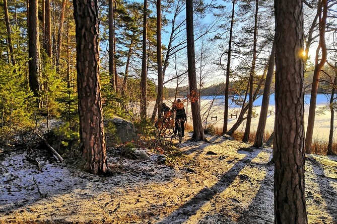 Mountain Biking Small-Group in Stockholm Forests for Beginners - Preparing for the Adventure