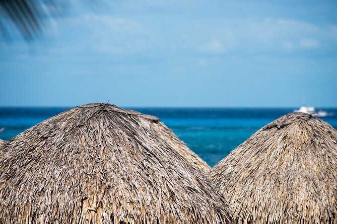 Mr. Sanchos Beach Club All-Inclusive Day Pass - Activities and Entertainment