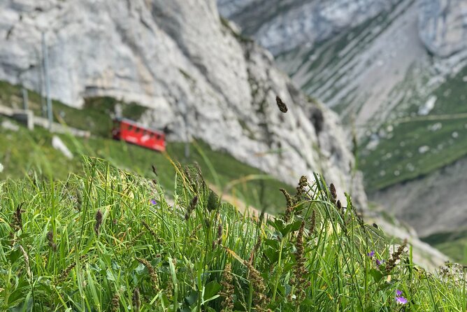 Mt. Pilatus and Cruise on Lake Lucerne Private Tour From Zurich - Accessibility Features