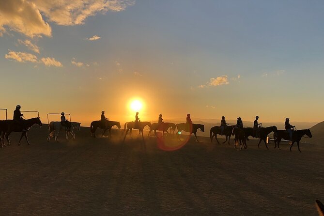 Mulholland Trail Horseback Tour - Pricing and Booking Information