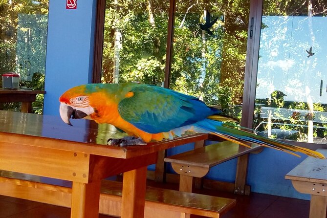 Multi-Day All Inclusive at Tortuguero With a Tour at National Park From San Jose - Pricing and Reviews