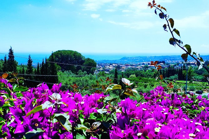 Multi-day Tour of Sicily - Additional Notes