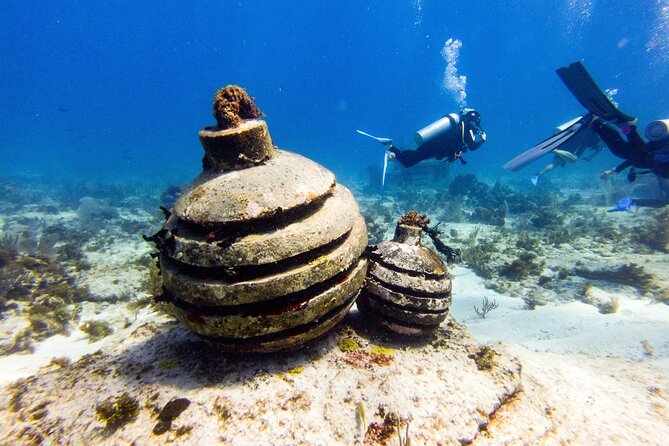MUSA Museum and Colorful Reef 2 Tank Dive-Certified Divers - Location and Meeting Point