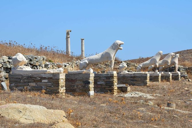 Mykonos Shore Excursion: Private Tour to Delos Island - Meeting and Pickup Information
