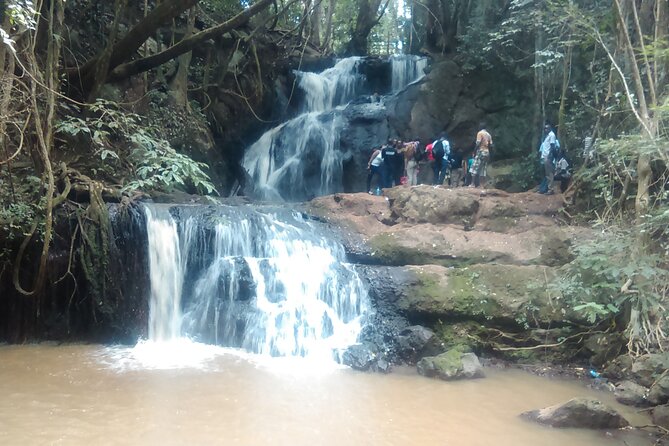 Nairobi Day Tour To Karura Forest Hike, Trail Bike & Nature Walk 