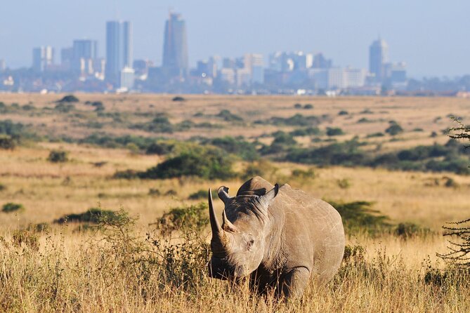 Nairobi National Park Group Tour - Accessibility and Accommodations