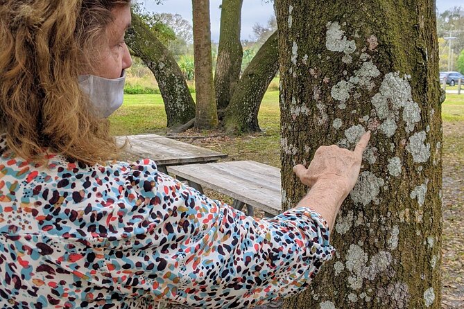 Nature Immersion Experience in Jupiter Review - Final Verdict On This Stay