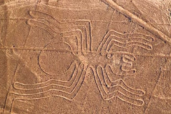 Nazca Lines Overflight Tour From Nazca - Booking and Cancellation Policy
