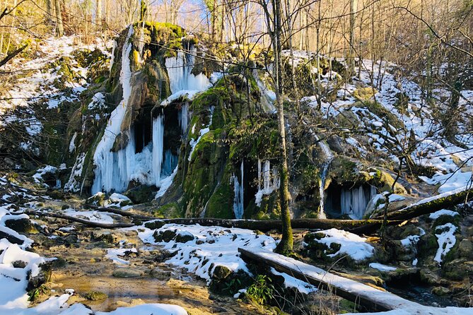 Nera Gorge National Park - Private Day Tour From Timisoara - Health and Accessibility