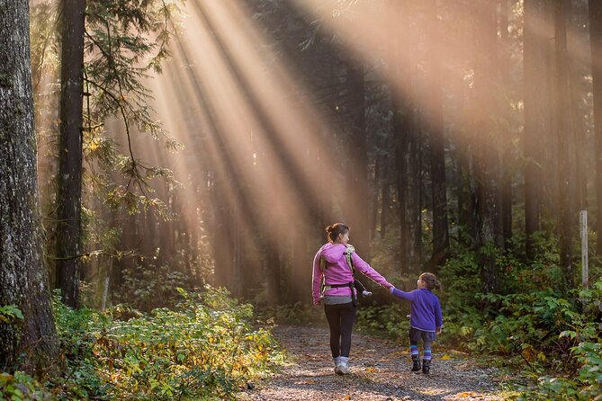 New Forest Tour App, Hidden Gems Game and Big Britain Quiz (7 Day Pass) UK - Experiencing the Big Britain Quiz