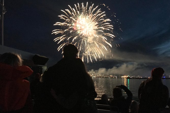 New Years Eve Fireworks Cruise in Reykjavik - Fireworks Viewing Experience
