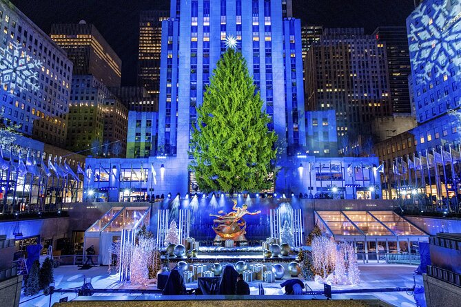 New York City: Guided Magical Christmas Lights Tour on a Pedicab - Accessibility Features