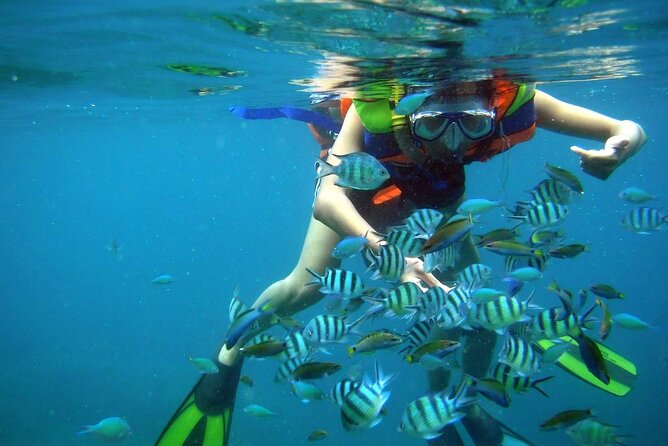 Nha Trang 3 Island VIP Tour - Health and Safety Guidelines