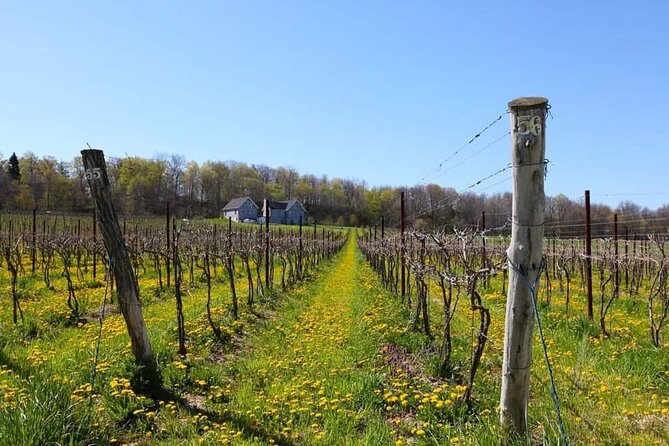 Niagara County Wine Tour and Tasting - Tasting Experiences