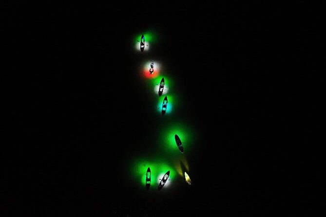 Night Mangroves LED Tour on a Glass Bottom Kayak - Unique Nighttime Kayaking Experience