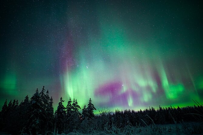 Night Snowshoeing Adventure Under the Northern Lights - Participation Requirements