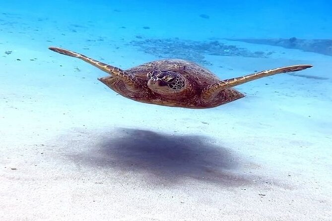 No Certification Required Scuba Dive and Island Tour With Guide - Pricing and Cancellation Policy