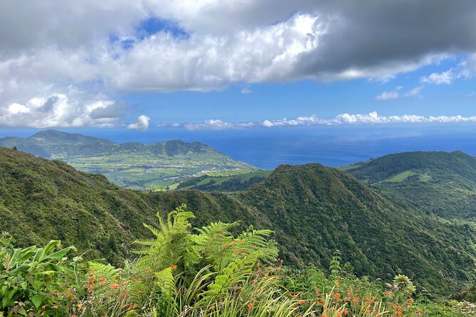 Nordeste Breathtaking Nature Private Van Tour - Flexibility and Customization