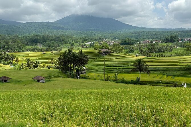 North Bali Heritage Private Full Day Tour - Pricing Information