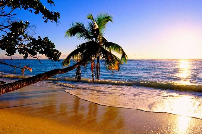 North Shore Private Tour - Tour Schedule