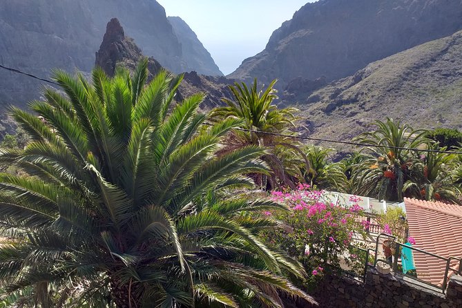 North Tenerifes Mysteries - Stargazing in the Canaries