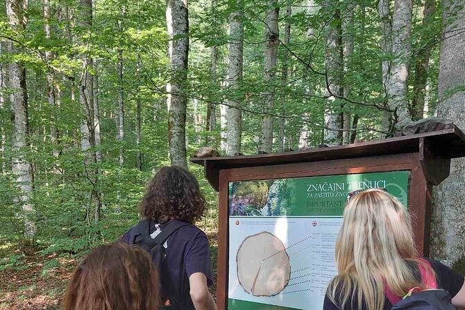 NORTH TOUR Np Biograd Gora-Lake-Moraca Canyon & Monastery-Kolasin - Pickup Information