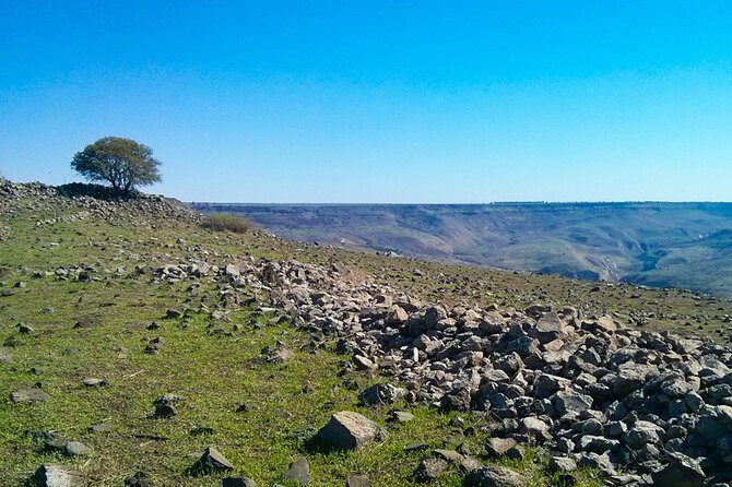 Northern Highlights - From the Sea of Galilee to The Golan Heights - Panoramic City Views