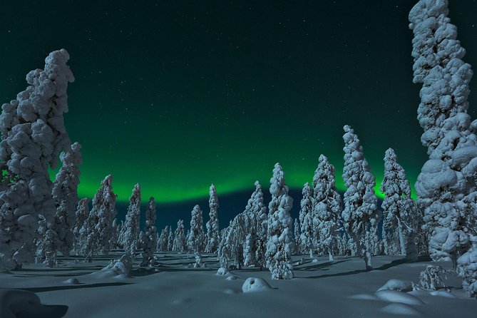 Northern Lights Hunt From Rovaniemi With Folk Tales and Snacks Over Campfire - Meeting and Accessibility