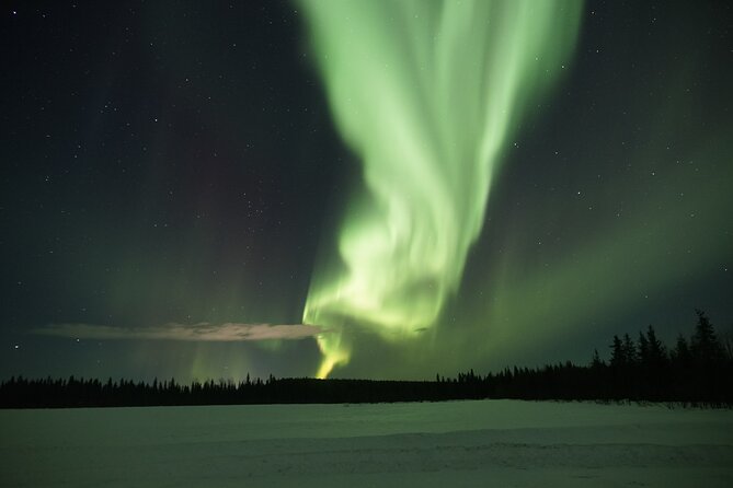 Northern Lights Hunting Photo Tour in Levi - Customer Feedback