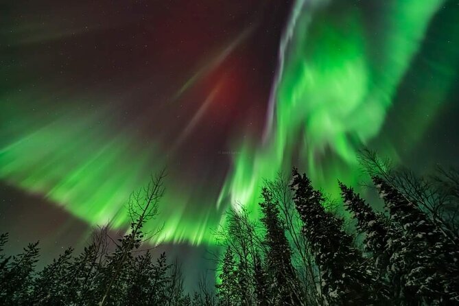 Northern Lights Hunting Tour Rovaniemi - Inclusions